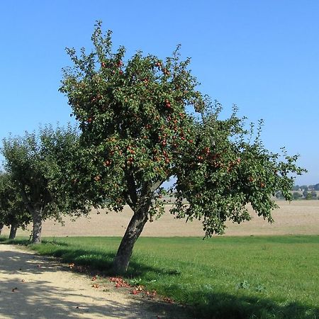 Fewo Muehlehof Konigshain Dış mekan fotoğraf