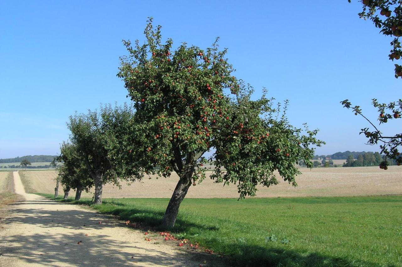 Fewo Muehlehof Konigshain Dış mekan fotoğraf